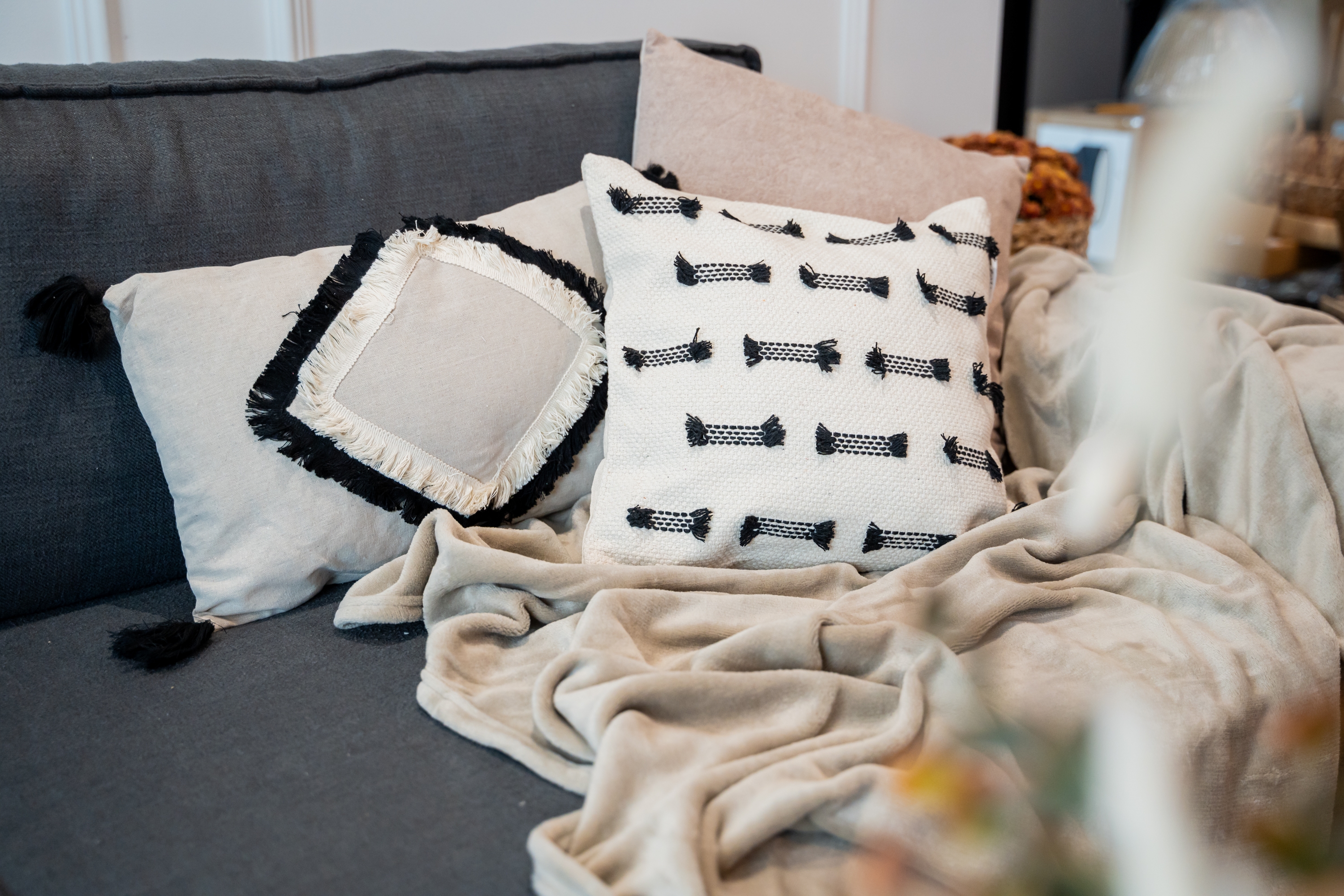 Perne decorative pe canapea, cu o pătură și un covor cald.